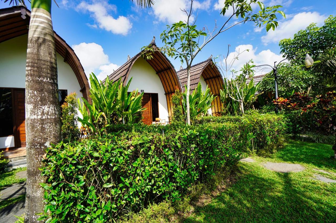 Adil & 4* Ubud (Bali)