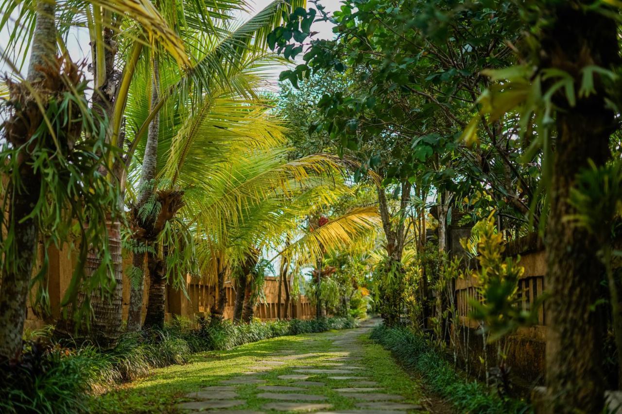 Villa Jj And Ubud (Bali)