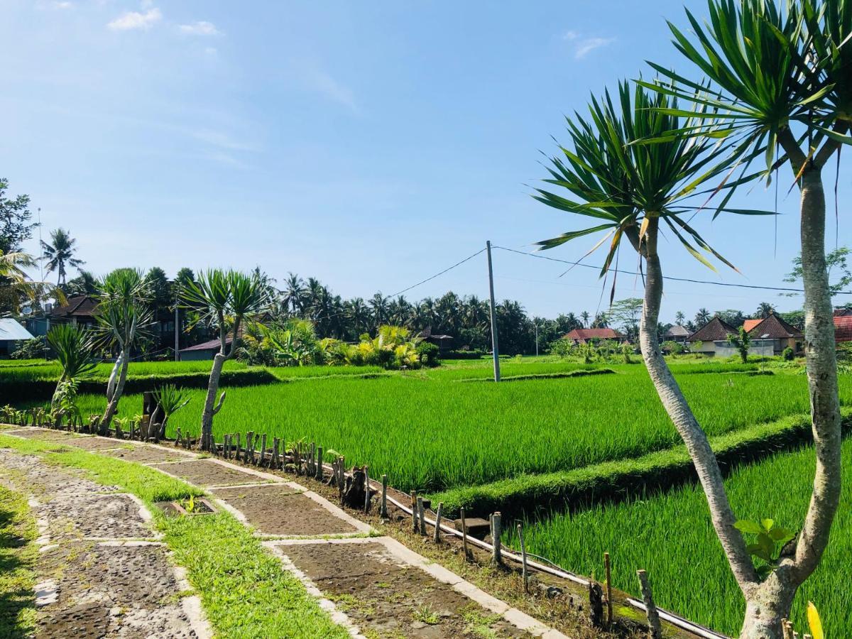 Jj And Ubud (Bali)