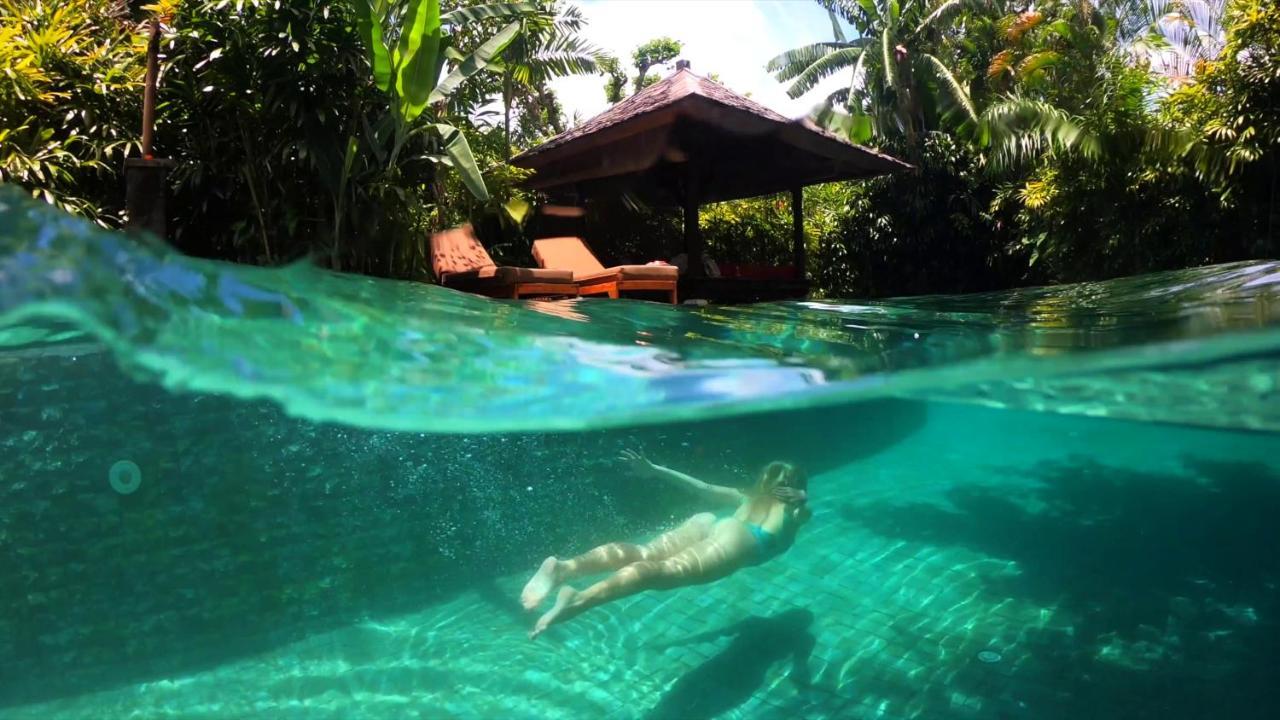 Jestate & - (adults Only) 5*