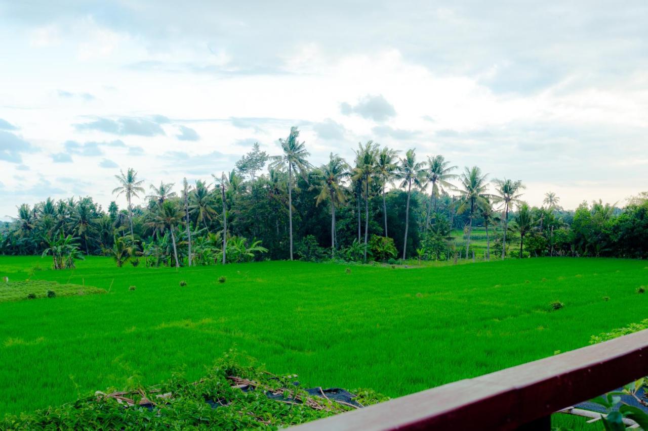 Nauna Resort 3*