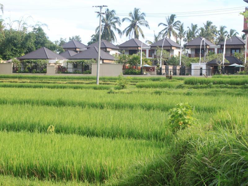 Onje And Resort 4*