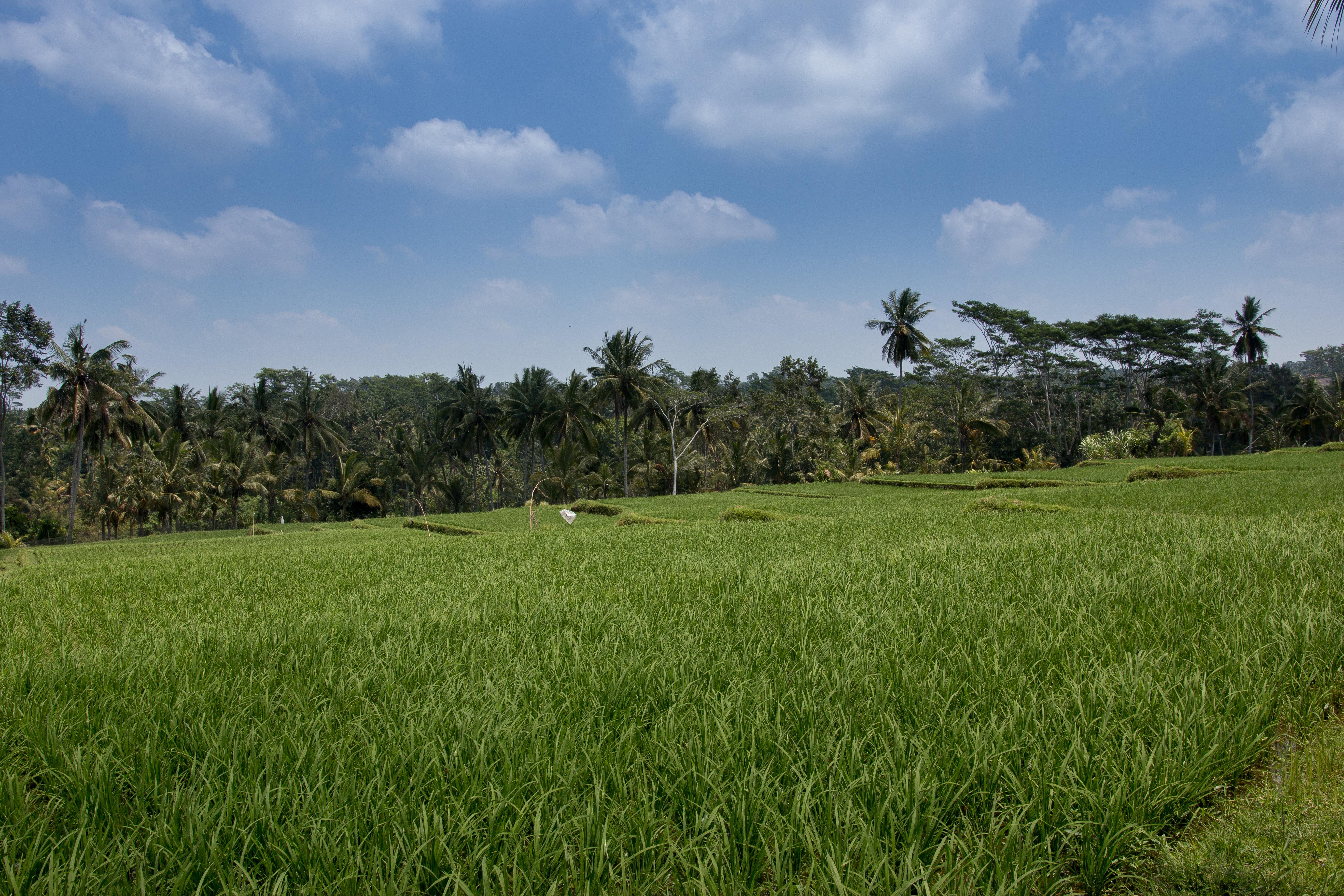 Resort Onje And