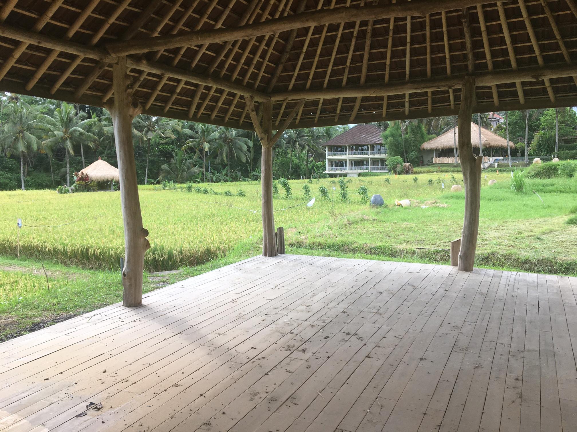Mathis Retreat 4* Ubud (Bali)