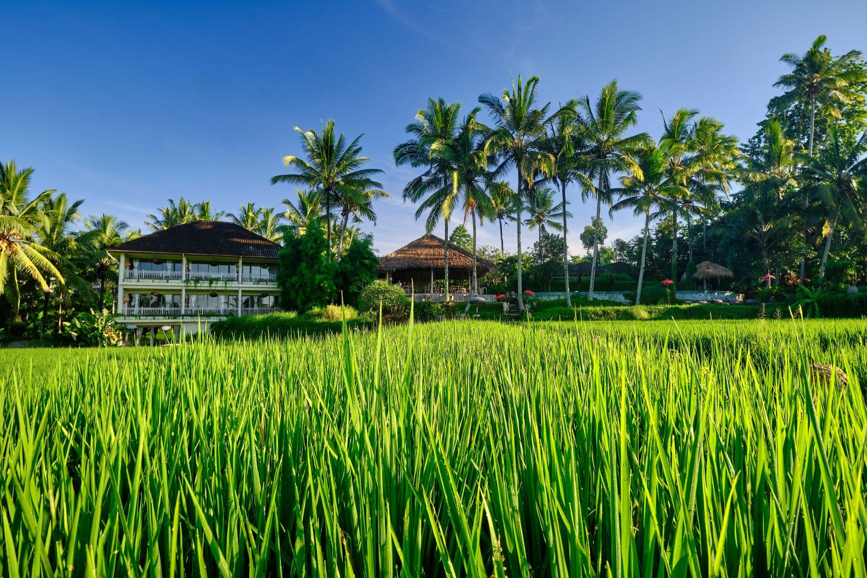 Mathis Retreat 4* Ubud (Bali)