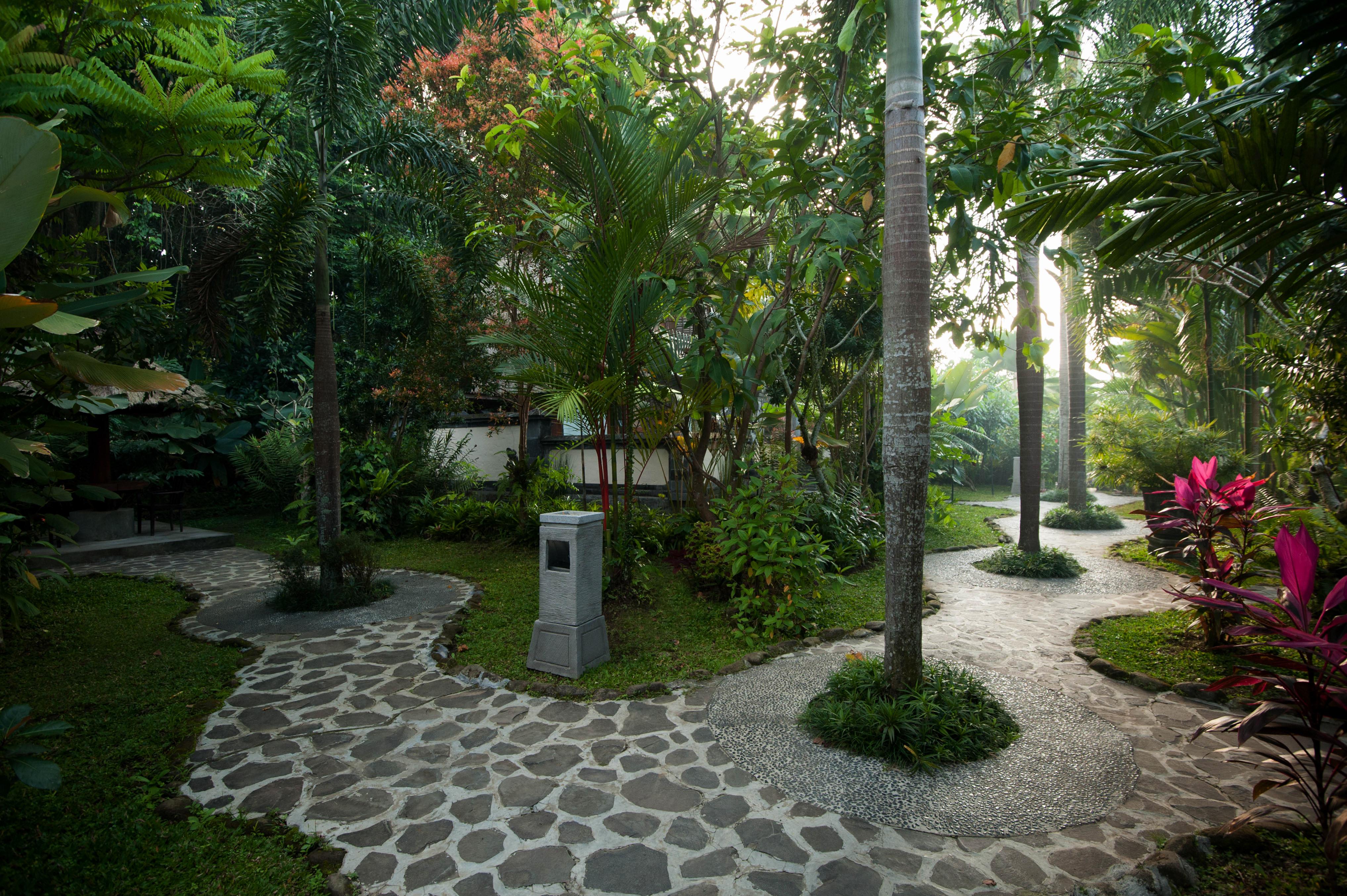 Resort Beji