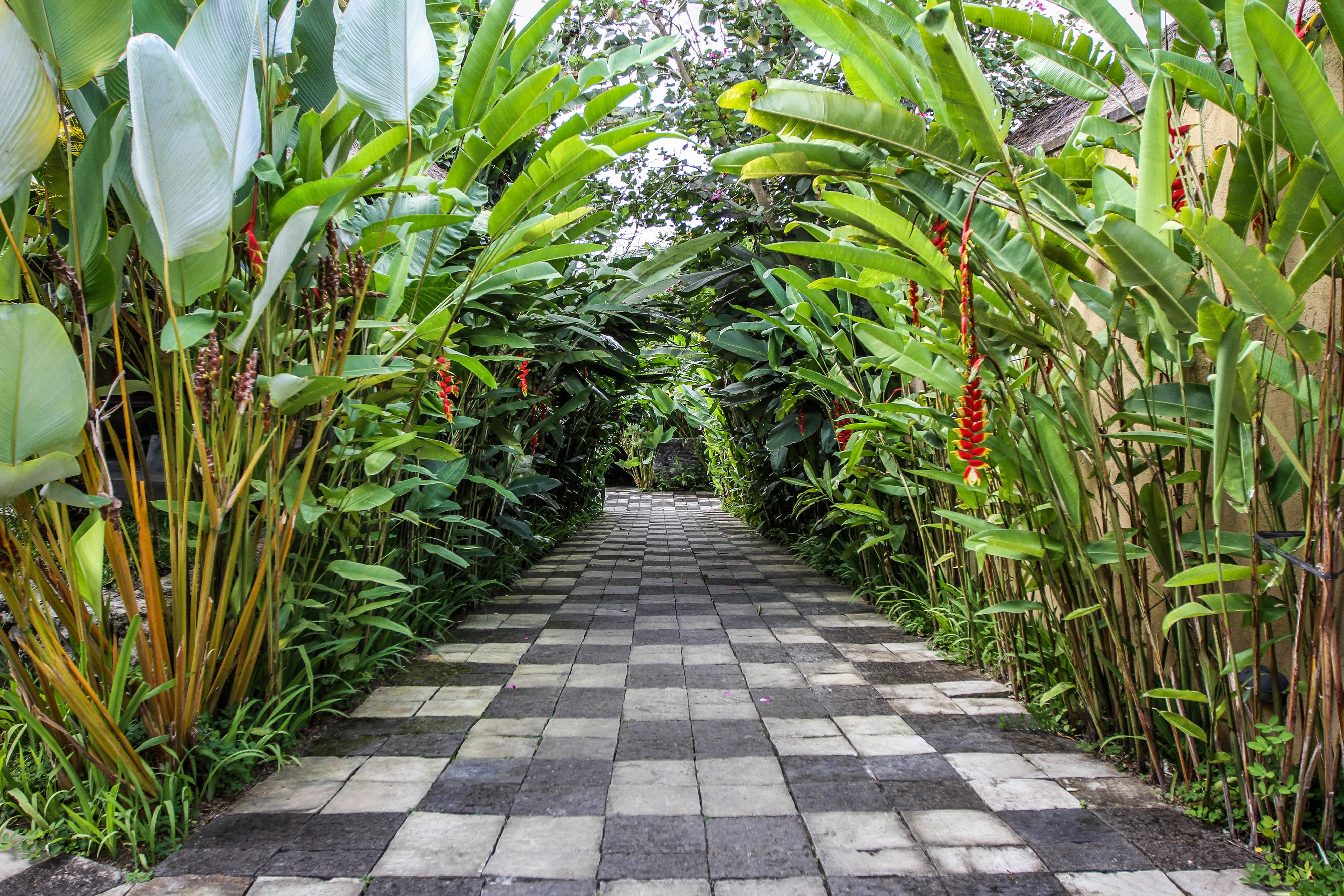 Resort Green Powered By Archipelago Ubud (Bali)