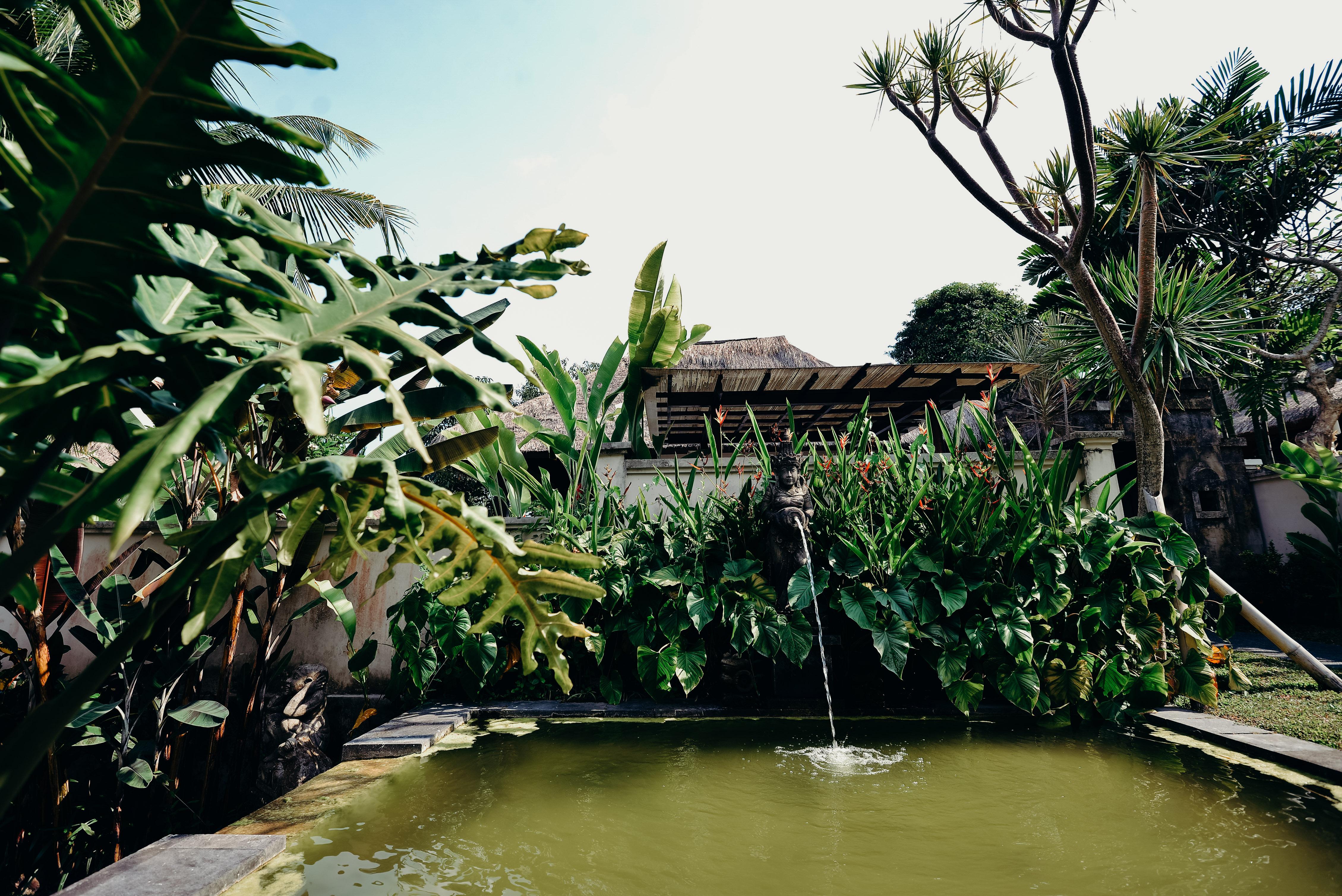 Pertiwi & Spa 3*