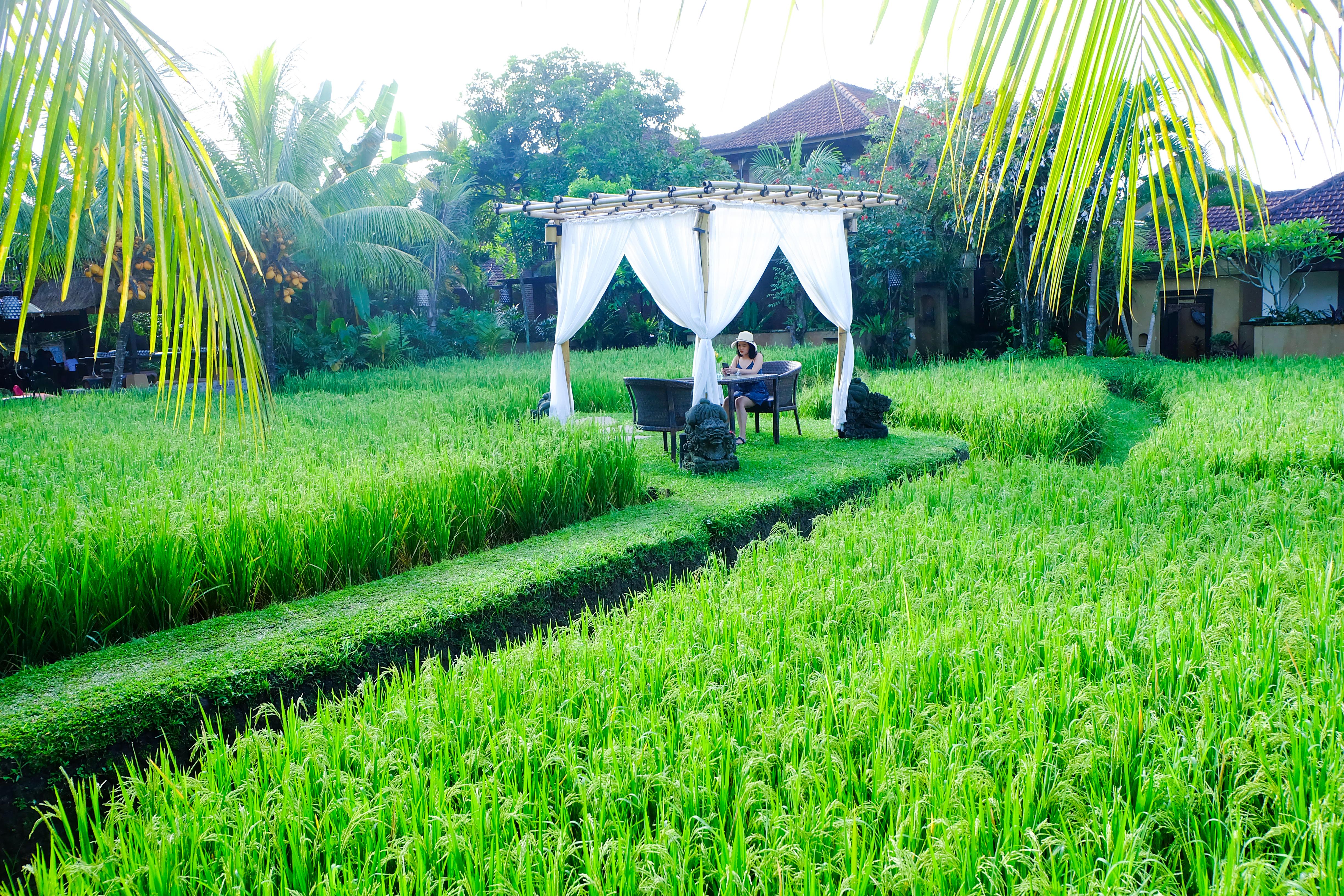 Bebek Tepi Sawah Restaurant & Resort