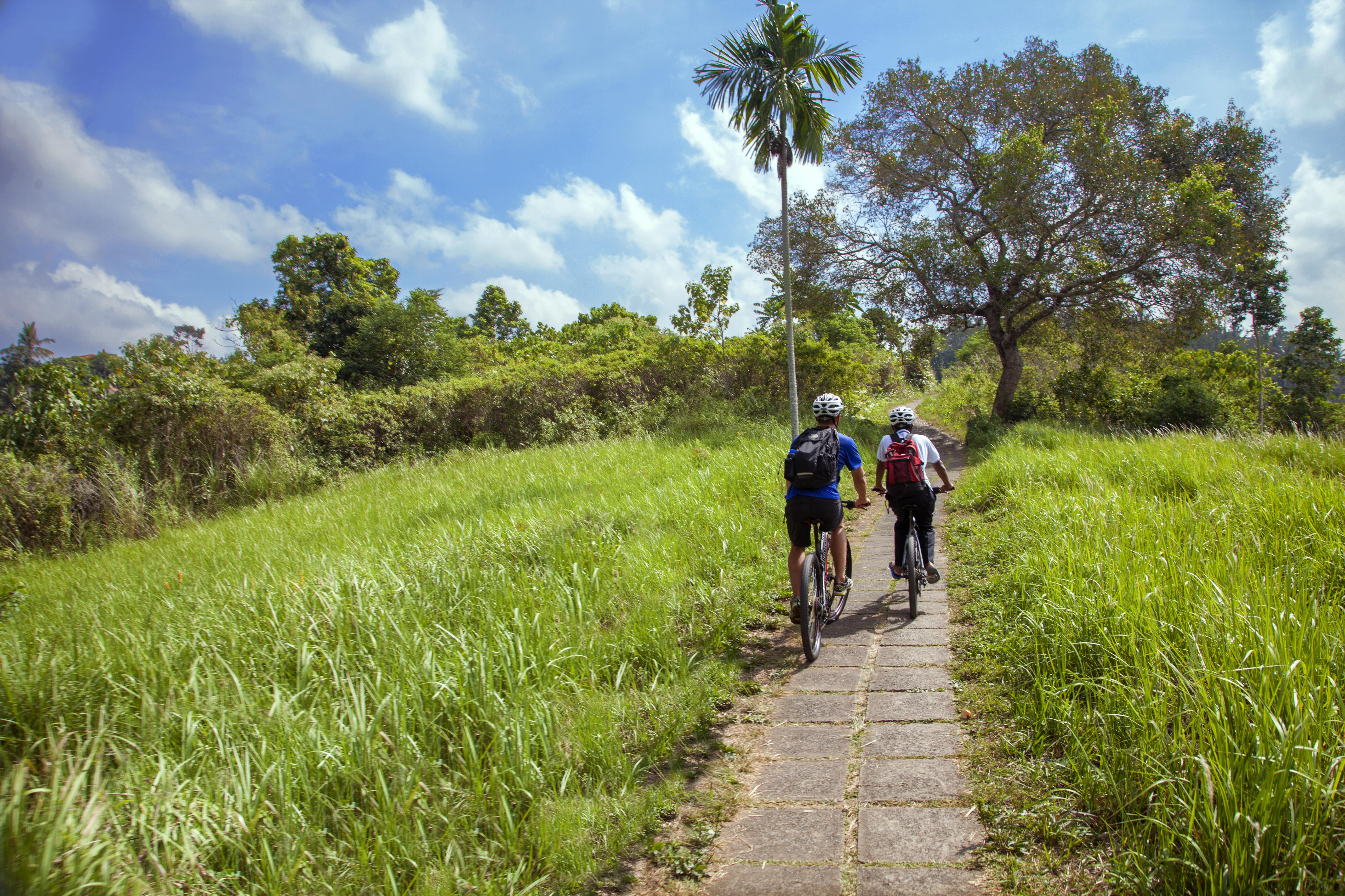 Jannata And 4* Ubud (Bali)