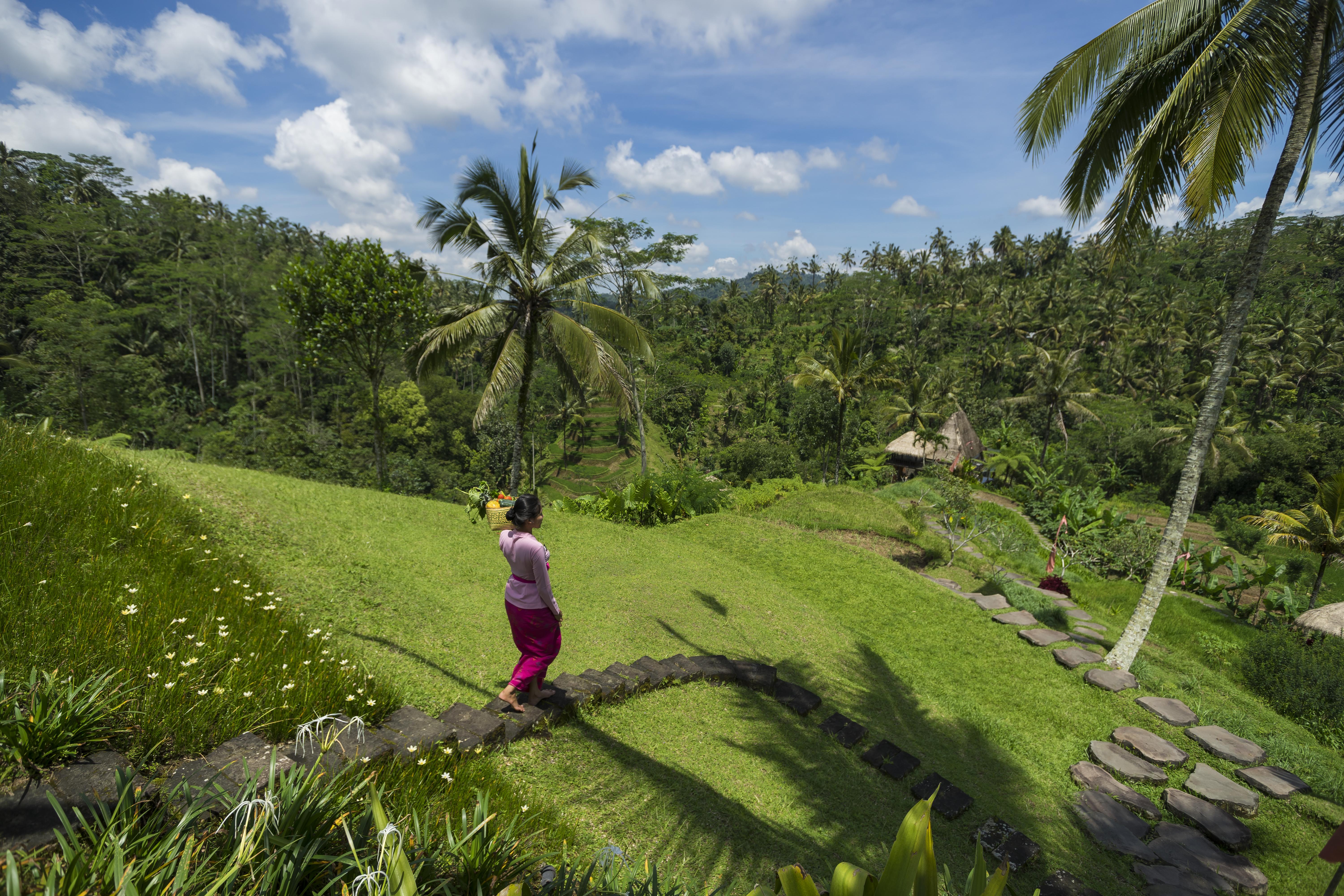 Adiwana Dara Ayu Resort