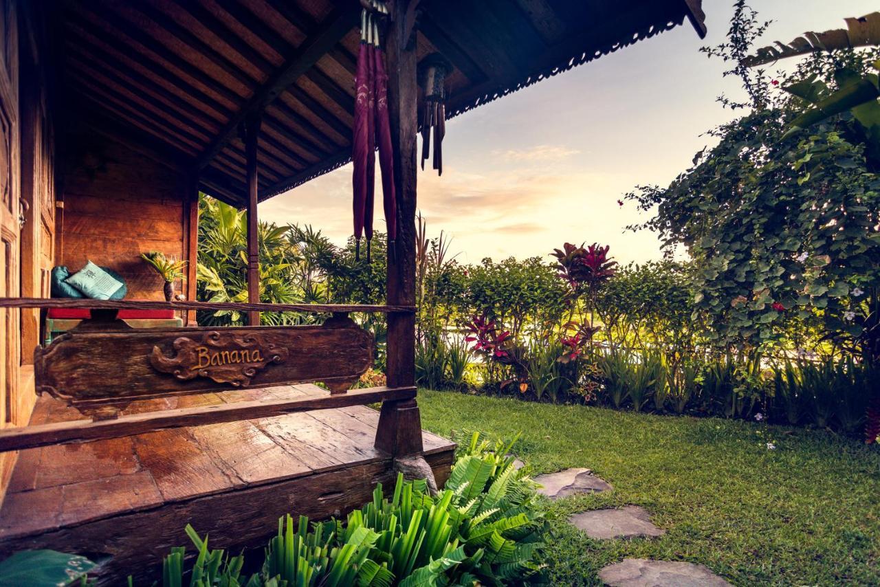 Dragonfly Village 3* Ubud (Bali)