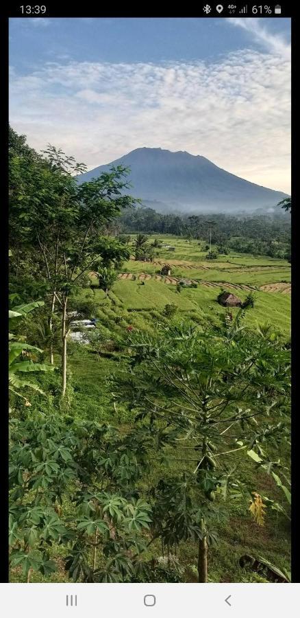 Homestay Lumbung Ayu Sari & *