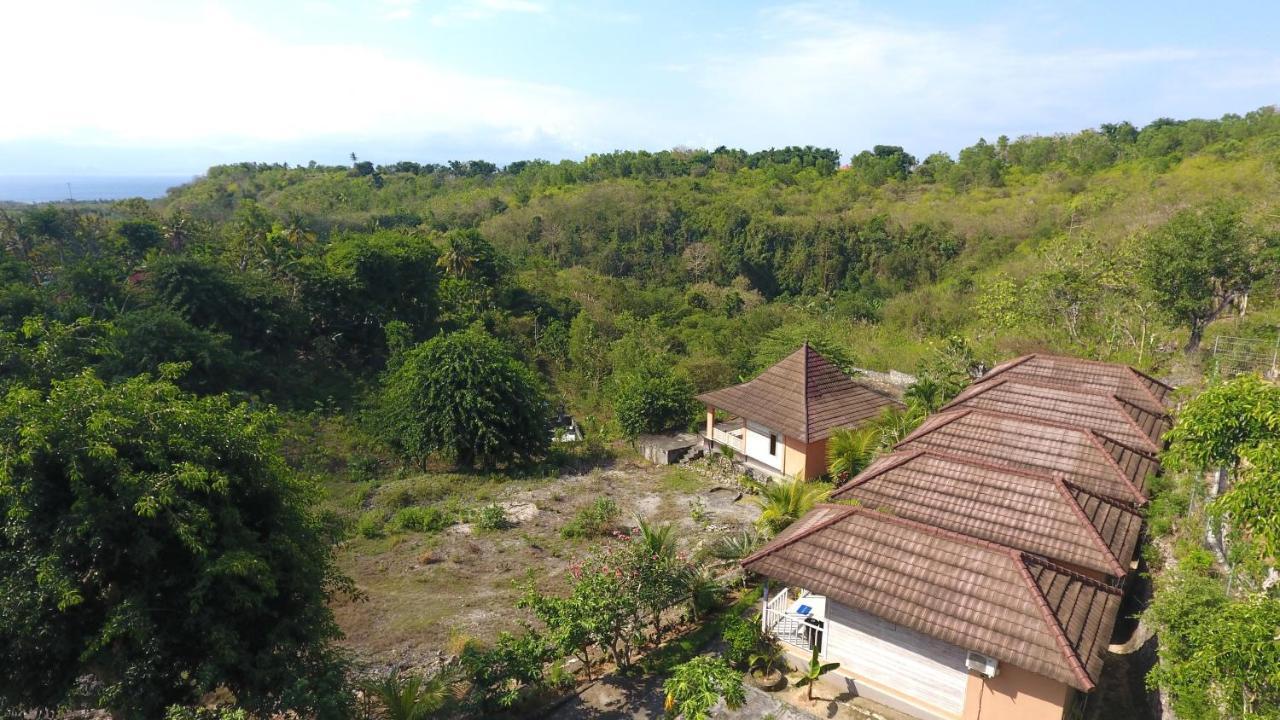 The Pancor Jungle
