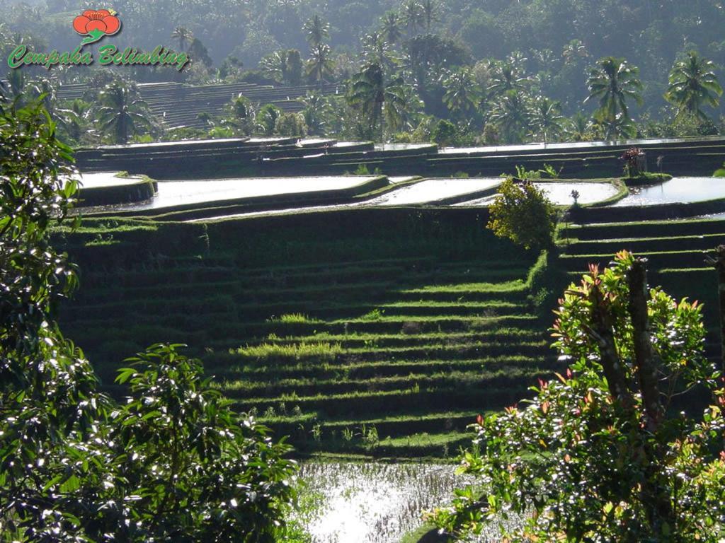 Taman liburan Cempaka Belimbing