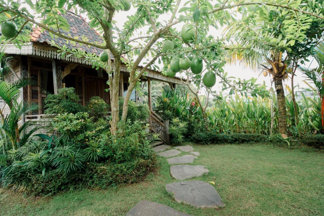 Nauna Resort 3*