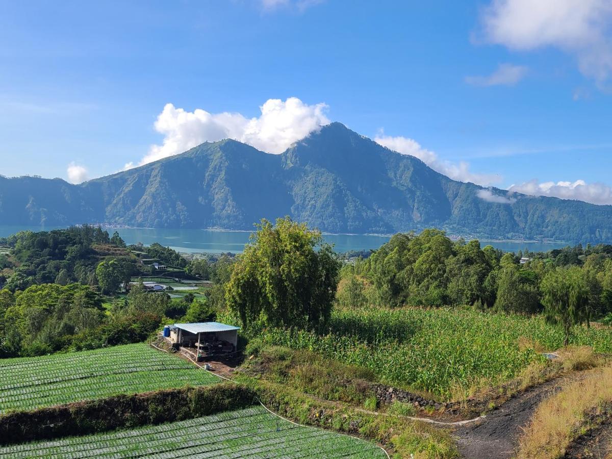 Batur View Bed & Breakfast *