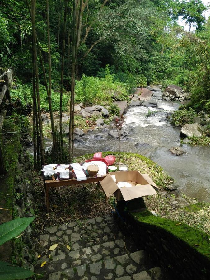 Shanti Natural Panorama View 5*