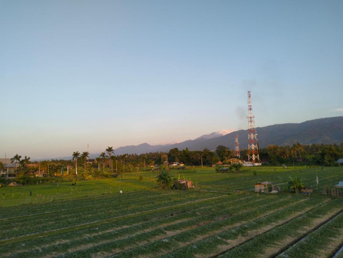 Bintang * Lovina (Bali)