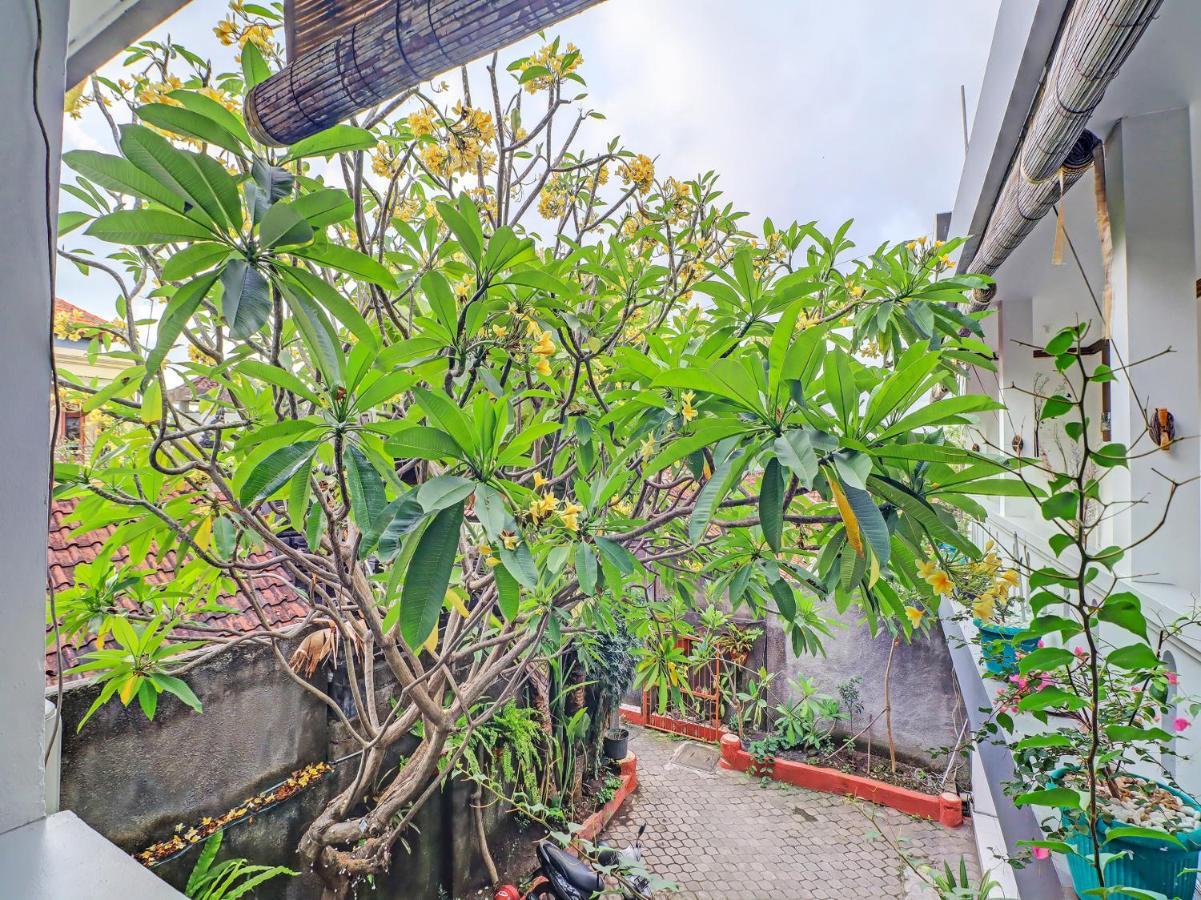 Rumahku Bali Wisma tamu Kuta (Bali)