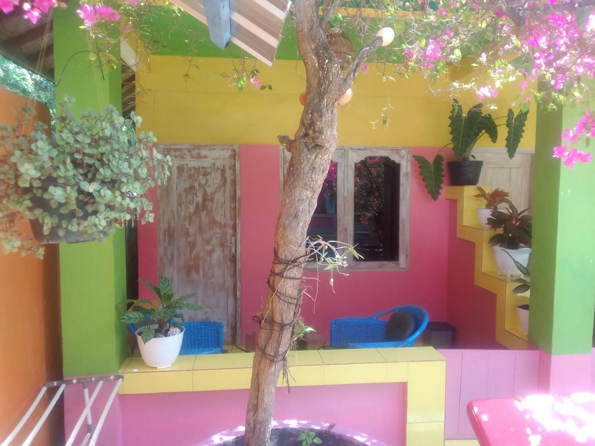 Alola Homestay Padangbai (Bali)