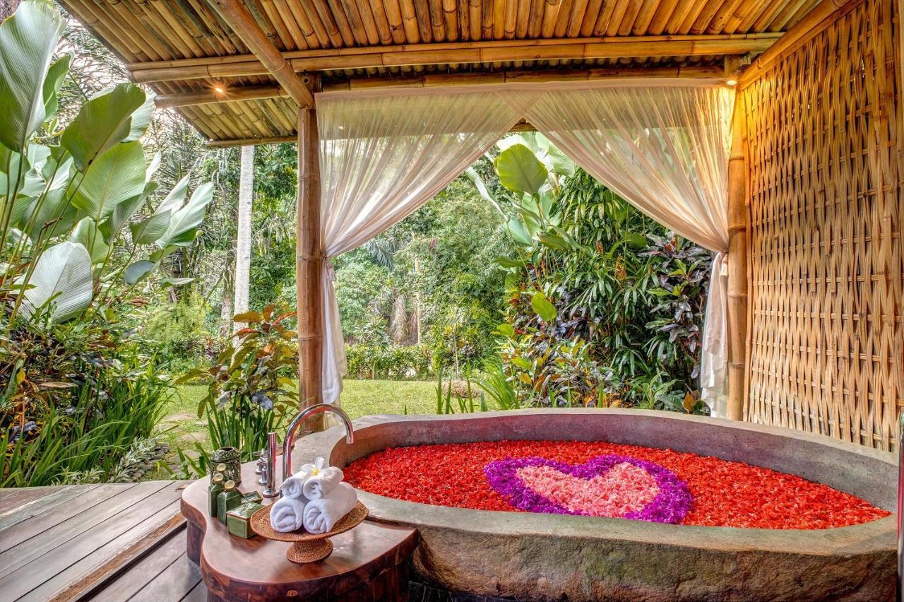 Fivelements Retreat Bali 4* Ubud (Bali)