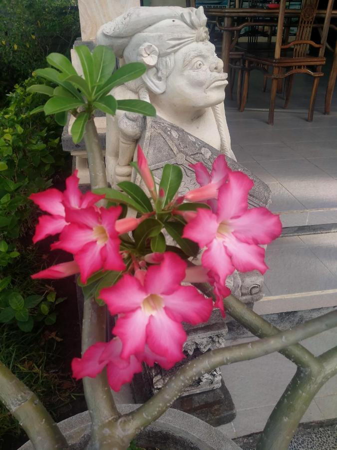 Coral Bay Bali Bed & Breakfast *
