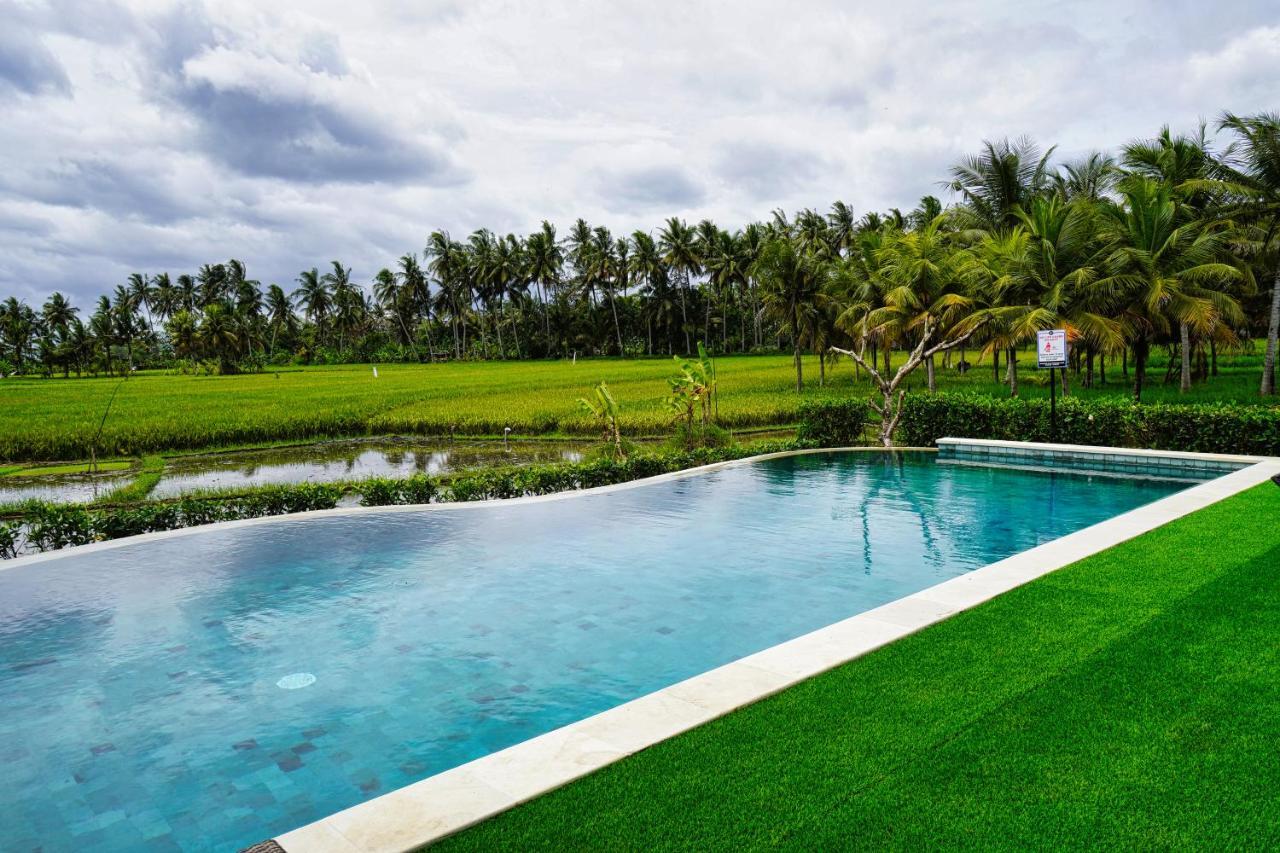 Adil & Ubud (Bali)