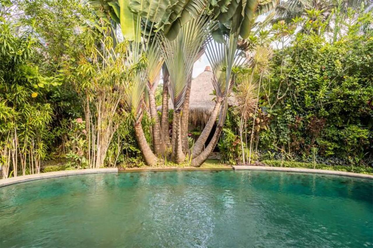 Bed & Breakfast Rumah Semanggi