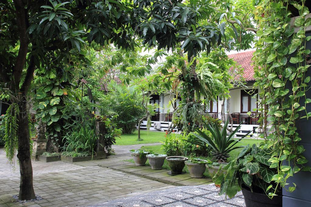 Guest house Cinthya