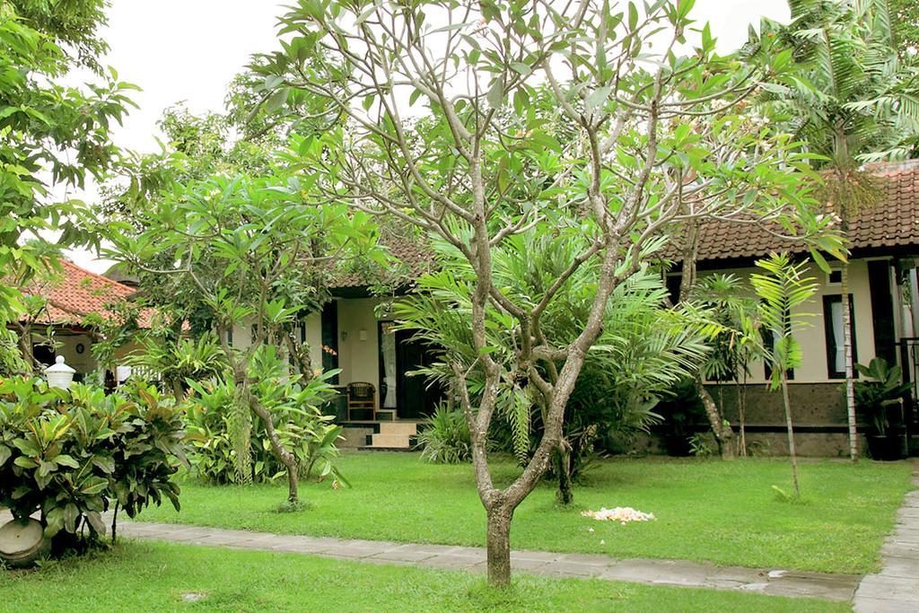Guest house Cinthya *