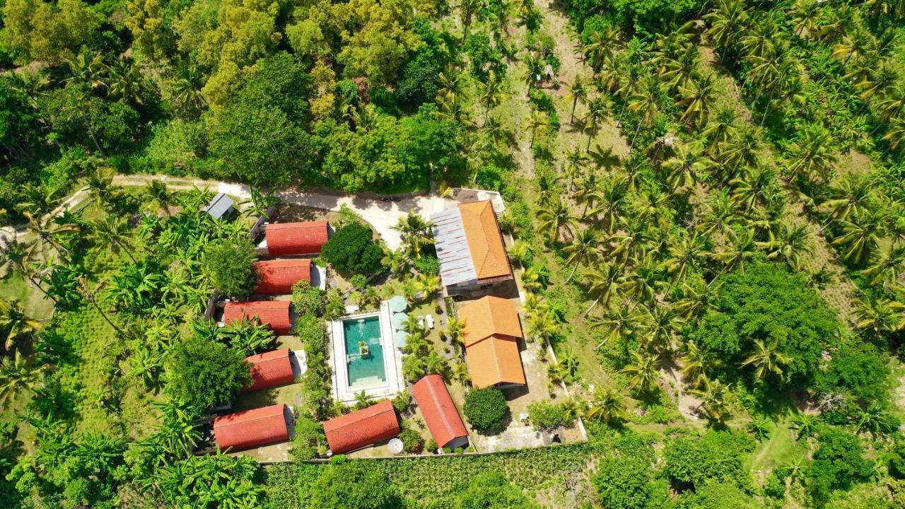 Jungle Paradise