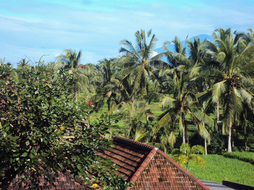 Syailendra