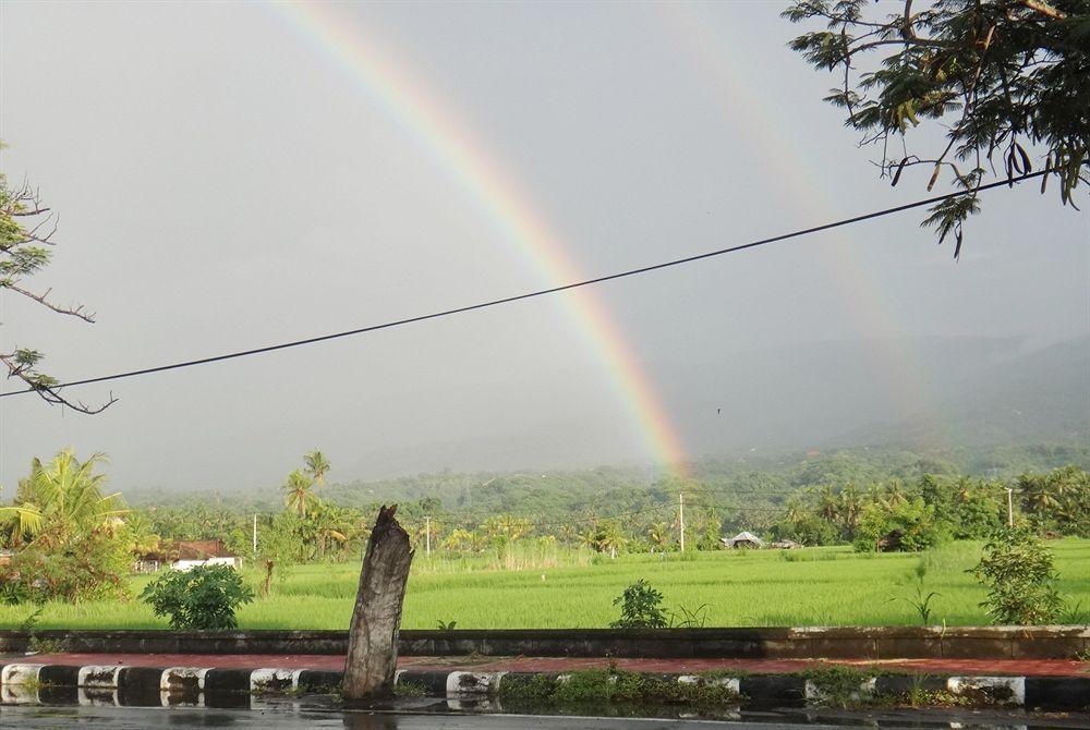Bali Lovina Hotel