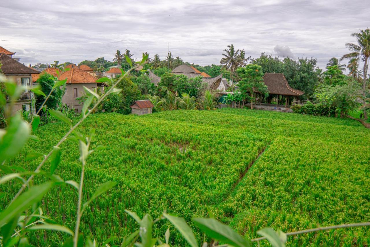 Urban Styles Inata Bisma Hotel Ubud (Bali)