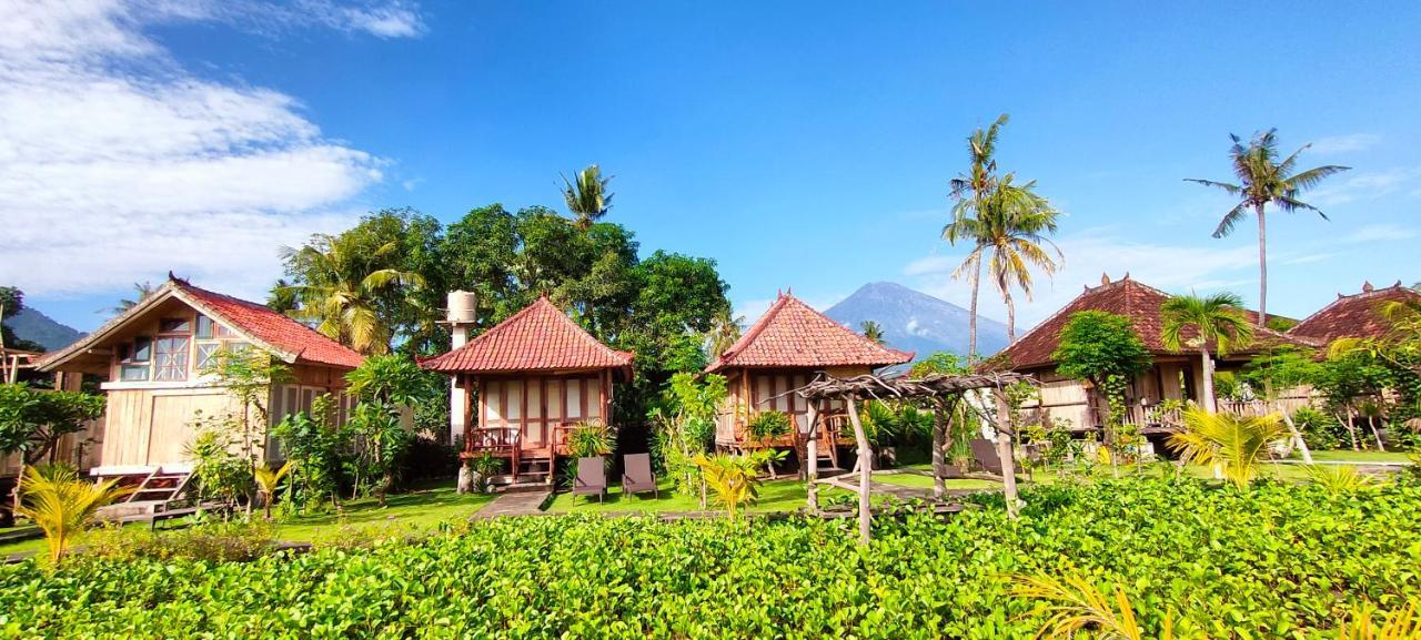 Yogi * Amed (Bali)