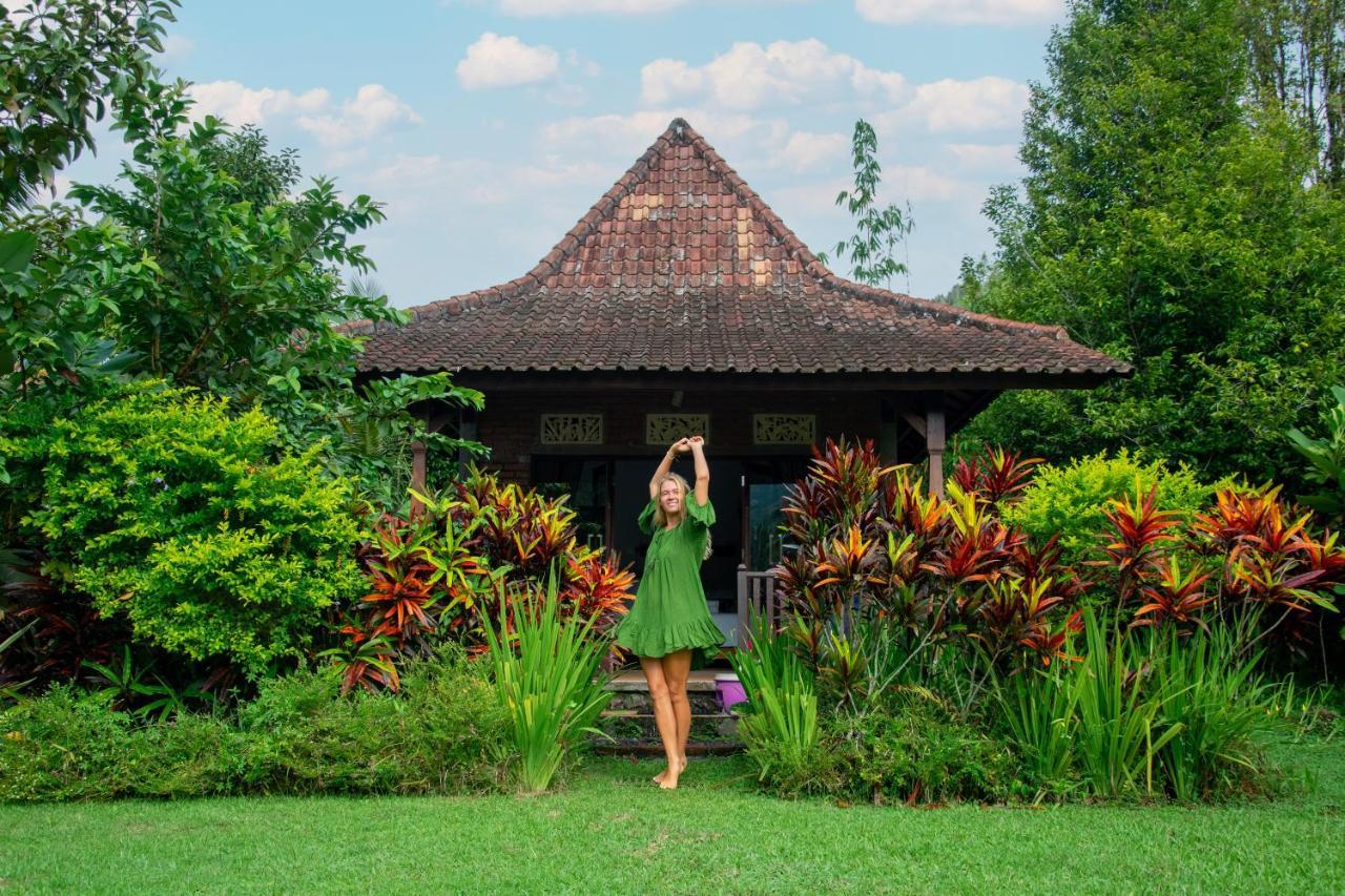 Amartya Puri Bed & Breakfast Munduk (Bali)