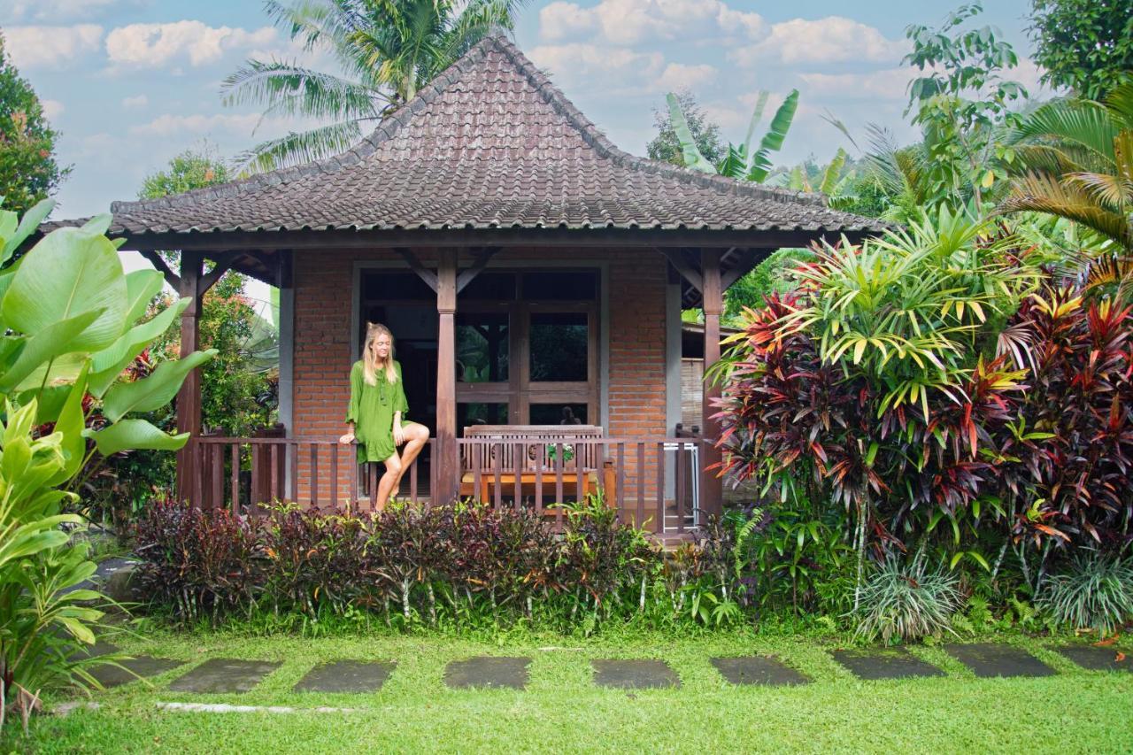 Amartya Puri Bed & Breakfast Munduk (Bali)