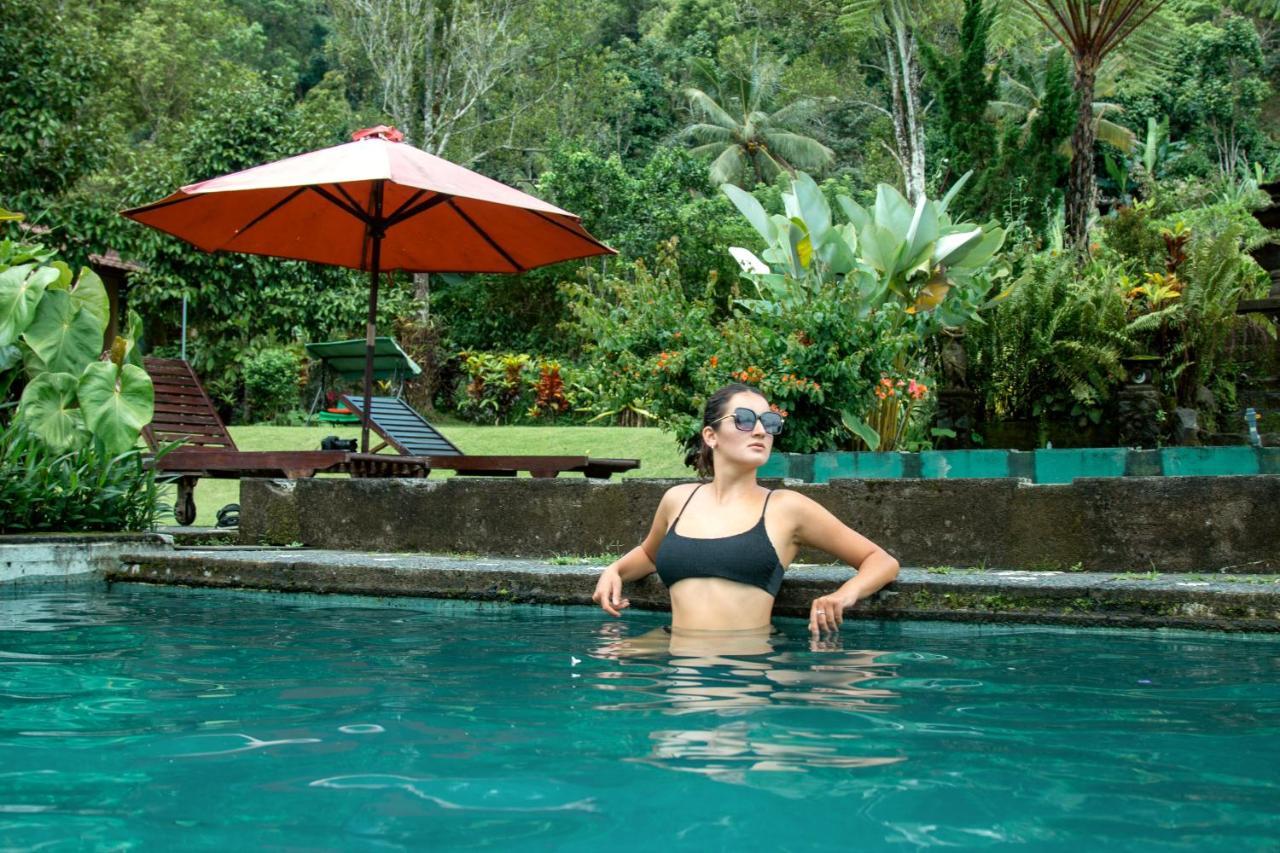 Bed & Breakfast Amartya Puri Munduk (Bali)