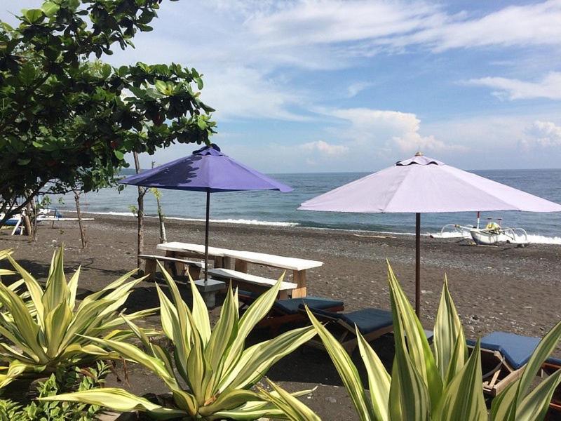 The Bbq * Amed (Bali)