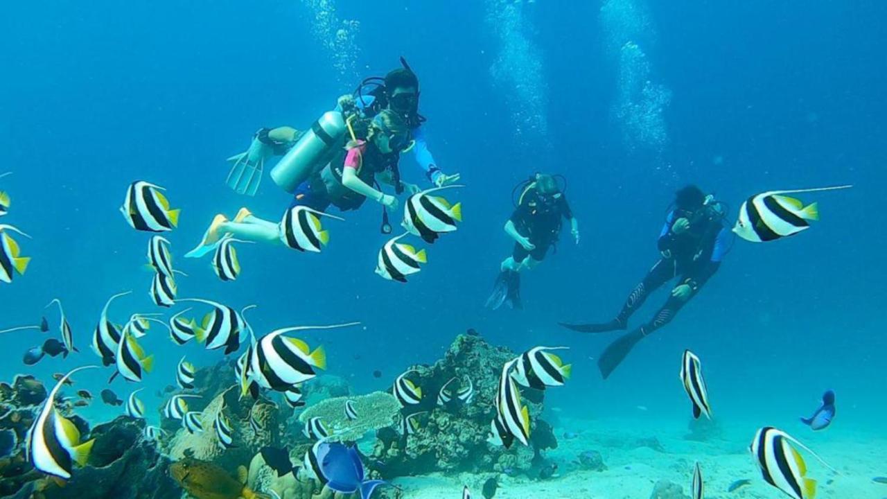 Taman liburan Sunia Loka Bungalows&dive Center