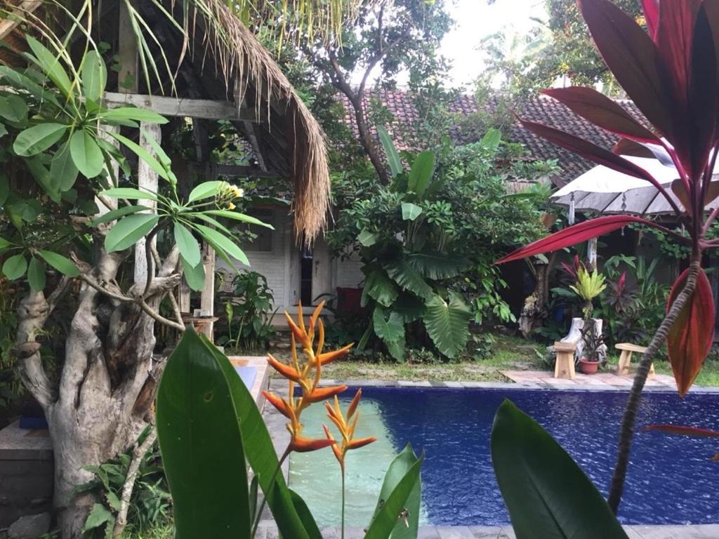 Pranajaya Guest house