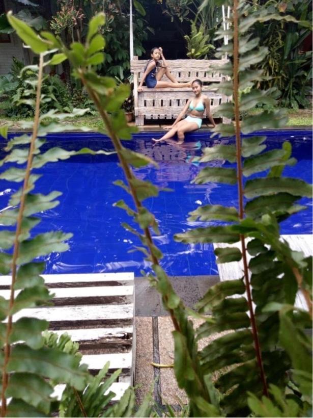 Guest house Pranajaya Tejakula