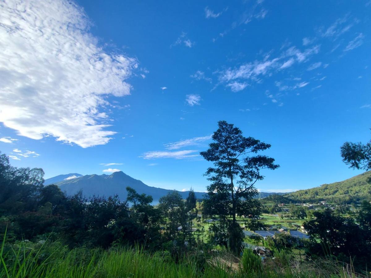 Batur View * Kintamani (Bali)