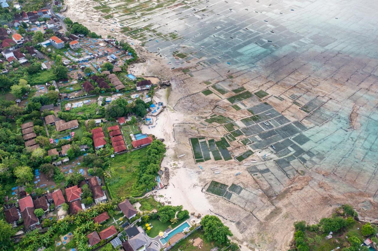 Katoni Lembongan * Nusa Lembongan (Bali)