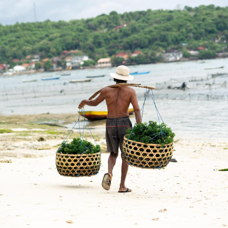 Katoni Lembongan * Nusa Lembongan (Bali)