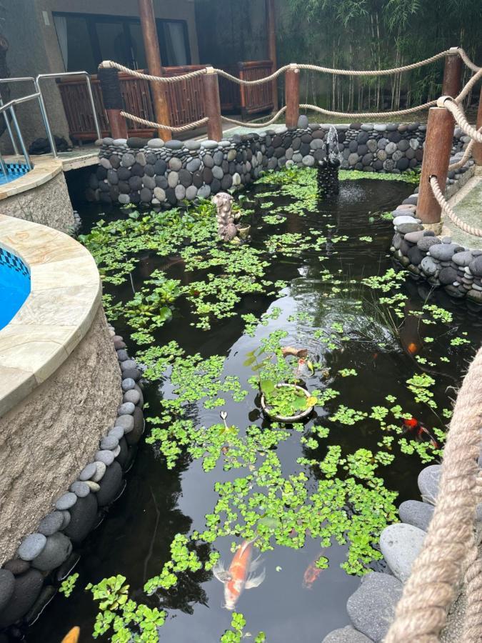 Lunar Dive Resort: Bamboo * Kubu