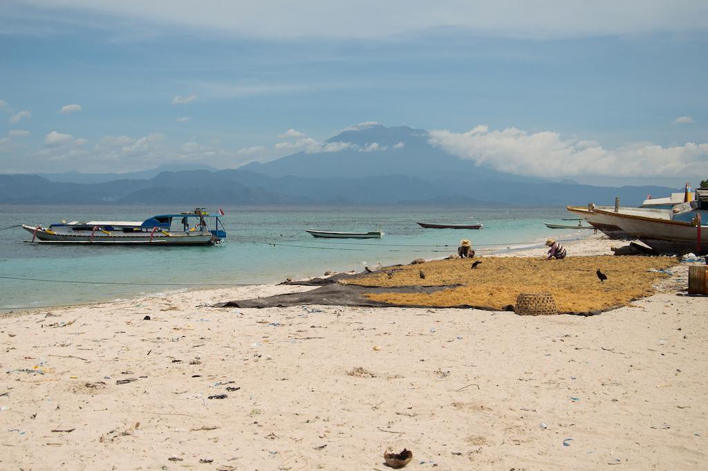Namaste Holiday park Toyapakeh