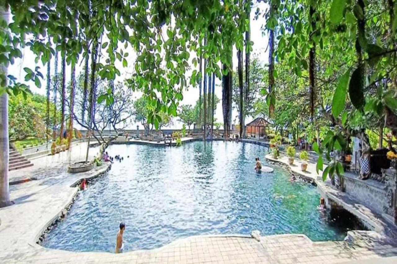 Palm Bali Villa Singaraja (Bali)