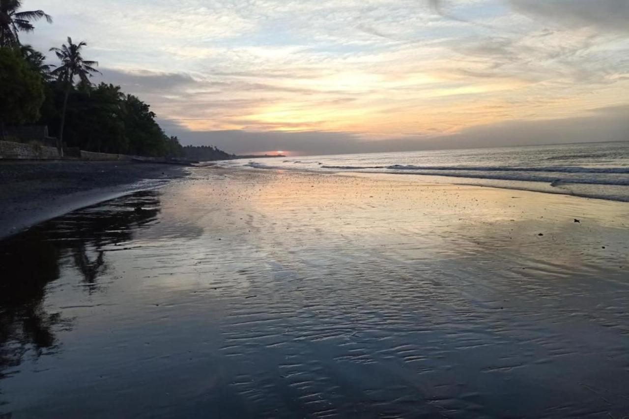 Palm Bali * Singaraja (Bali)
